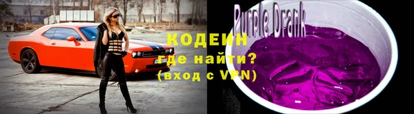 шишки Белоозёрский