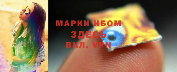 шишки Белоозёрский