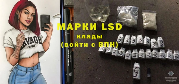 шишки Белоозёрский