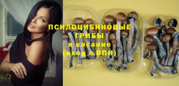 шишки Белоозёрский