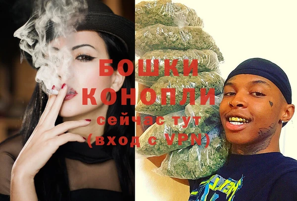 шишки Белоозёрский