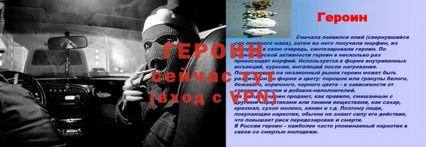 шишки Белоозёрский