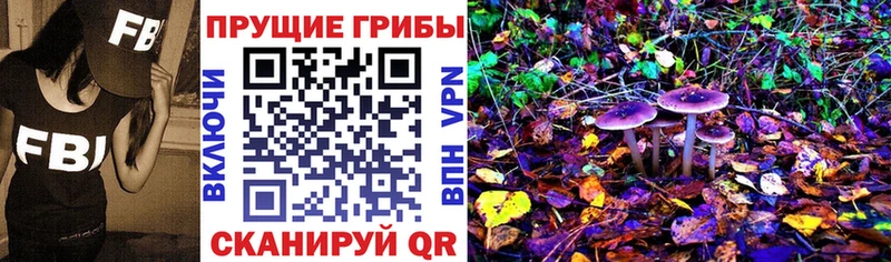Галлюциногенные грибы Psilocybine cubensis  где купить   Краснотурьинск 
